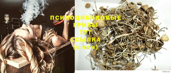 дмт Алексин