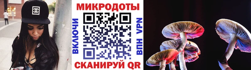 Галлюциногенные грибы Psilocybine cubensis  Курлово 